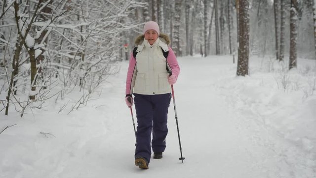 Active woman in warm clothes doing nordic walking in the forest. Happy female sportsman stepping with skiing poles in winter nature outdoors. Lady following the road demonstrating healthy lifestyle.