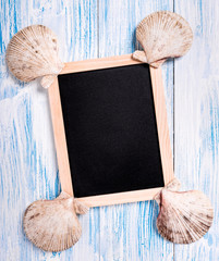 Tropical chalkboard with seashells on blue wooden background