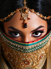 Beautiful indian girl in a traditional clothing