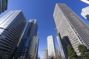Fototapeta na wymiar 新宿高層ビル群　快晴　青空　見上げる　ローアングル　ビル群
