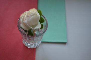 rose in a glass