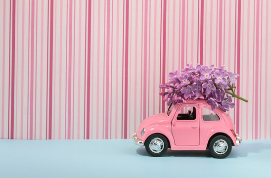 Lilac flower on cartoon toy car with empty space