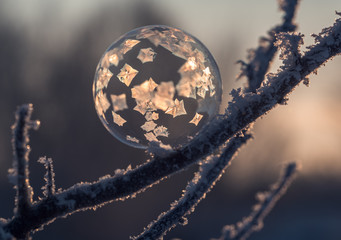 Frozen bubble