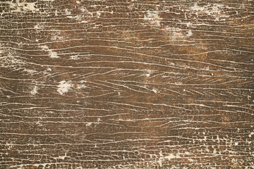 Wooden Texture Background