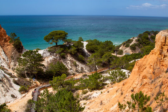 รูปภาพProtugal – เลือกดูภาพถ่ายสต็อก เวกเตอร์ และวิดีโอ197 | Adobe Stock