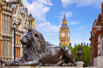 London Trafalgar Square lion in UK - obrazy, fototapety, plakaty