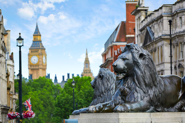 Fototapeta na wymiar London Trafalgar Square lion in UK