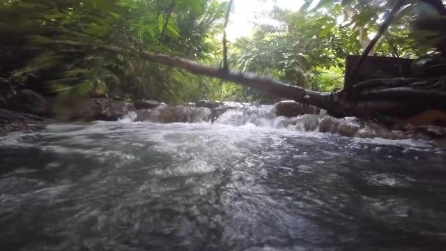 Hot spring, stream in the jungle
