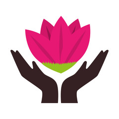 floral cute frame decorative vector illustration design