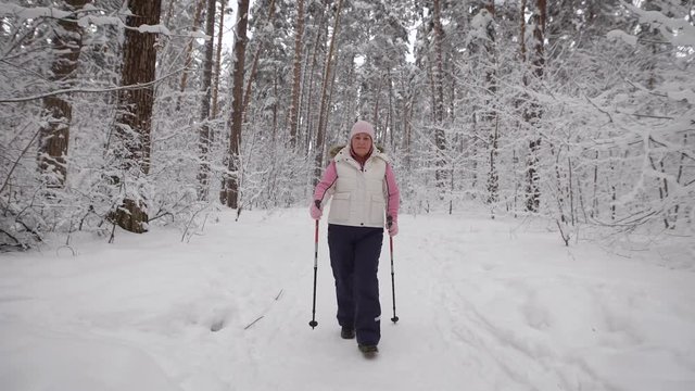 Winter forest. The elderly woman spends the leisure-time in the wood and supports the health by walks. The   the level of the physical activity. The pensioner goes the Scandinavian step.