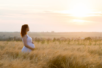 Naklejka na ściany i meble 9 months pregnant woman holding belly outdoor sunset. Pregnancy concept.