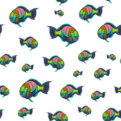 Scarus ferrugineus pattern, Rusty parrotfish, Scarus fish in red sea illustration