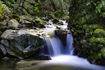 Uvas Canyon Waterfall