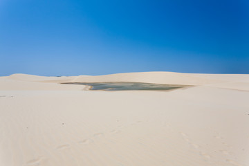 Fototapeta na wymiar White sand dunes panorama from Lencois Maranhenses National Park