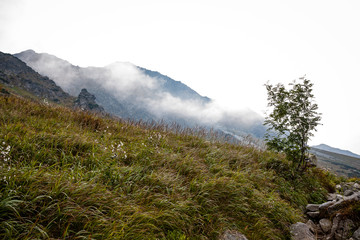 Fototapeta premium slovakian carpathian mountains in autumn