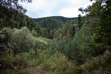Fototapeta na wymiar slovakian carpathian mountains in autumn