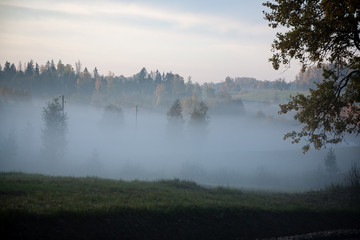 Fototapeta na wymiar misty countryside landscape with asphalt wavy road in latvia