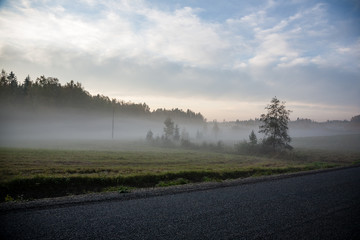 misty countryside landscape with asphalt wavy road in latvia