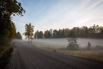 misty countryside landscape with asphalt wavy road in latvia