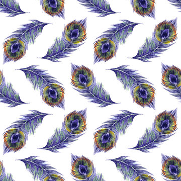 Watercolor seamless pattern with peacock feathers. Cute hand drawn illustration
