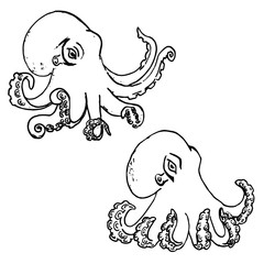 Set of hand drawn octopus isolated on white background.