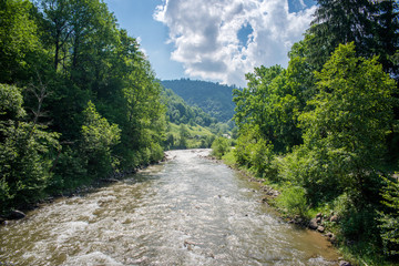 Fototapeta na wymiar fast river in the Carpathian mountains 