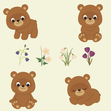 Bear cubs and Spring flowers