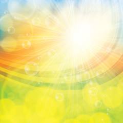 Sunny spring summer abstract background - 135622776