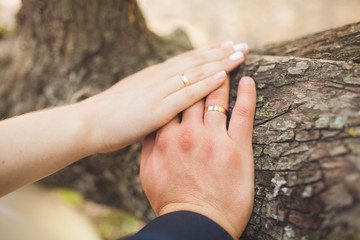 Closeup of hands newlyweds. Hands of the newlyweds with wedding rings