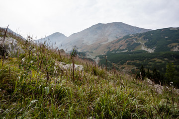 slovakian carpathian mountains in autumn