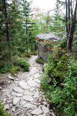 slovakian carpathian mountains in autumn