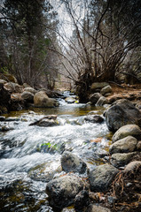 Water flows over a rocky stream bed.