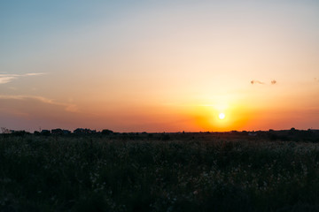 Golden sunset over wheat field