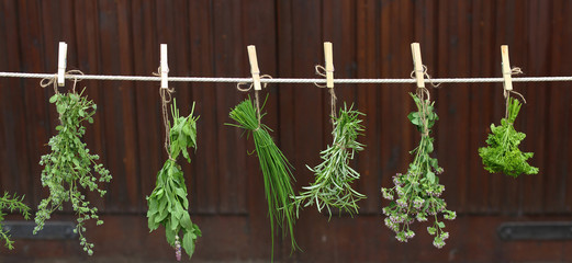 Kräuter aufgehängt 