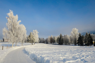 Verschneite Winterlandschaft, Bäume und Felder