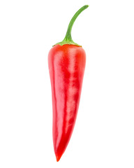 chili pepper isolated