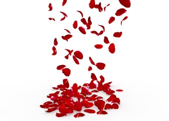 Rose petals fall to the floor