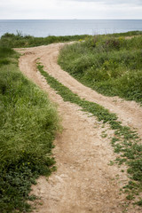 Road leading to the sea.