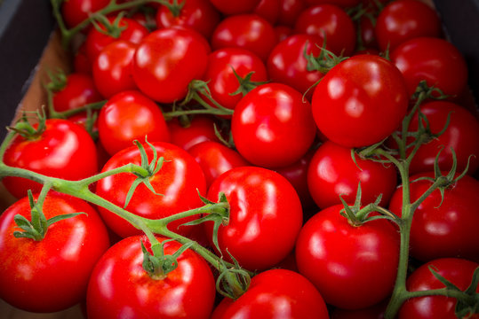 Pile of Tomatoes, Focus techniaue and Vignett effect