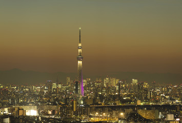 Obraz premium 東京都市風景 東京スカイツリー 都心の街並 夜景 新宿 六本木 丸の内