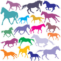 Big Set vector colorful trotting and galloping horses silhouette