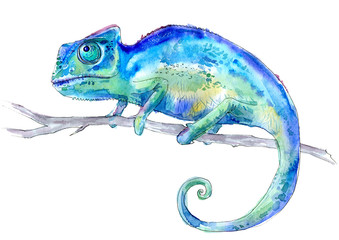 Blue chameleon on a branch. Watercolor hand drawn illustration.