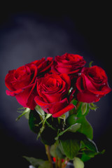 Beautiful valentines roses on dark background