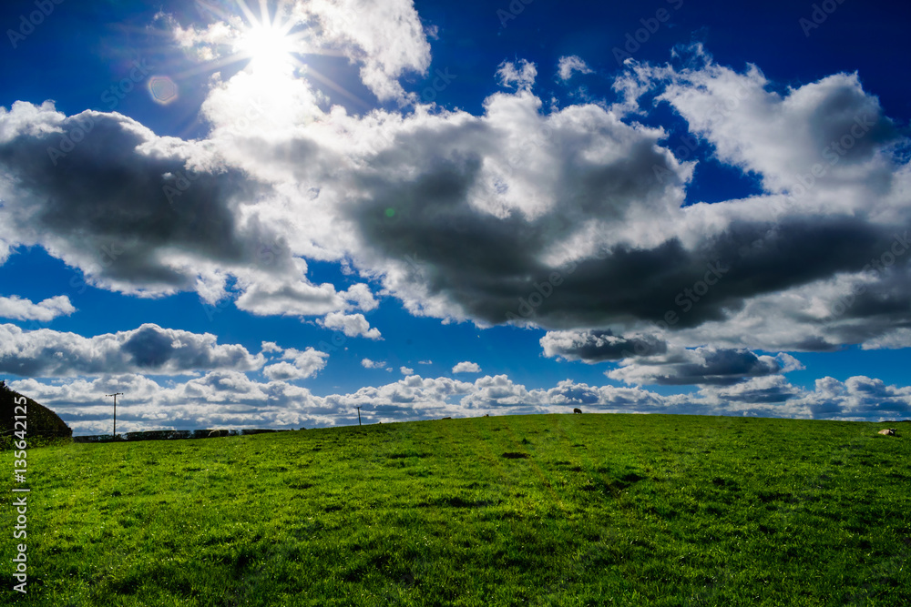 Canvas Prints Clouds Over Grassland