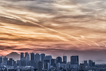 Fototapeta premium 東京の風景