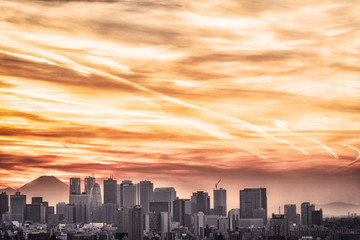 Fototapeta premium 東京の風景