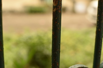 An elegant view of a fence