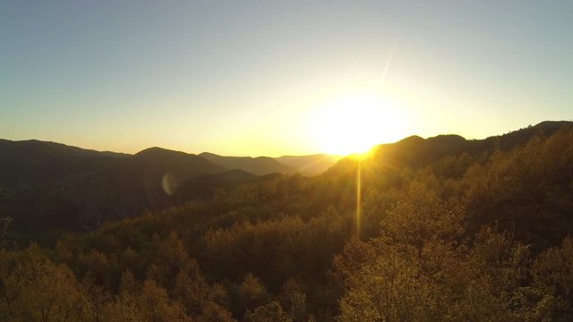 Flying over the forest at dawn
Drone towards the light fantastic
