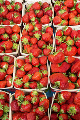 Fresh Strawberries