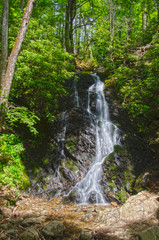 Fototapeta na wymiar Cataract Falls Waterfall